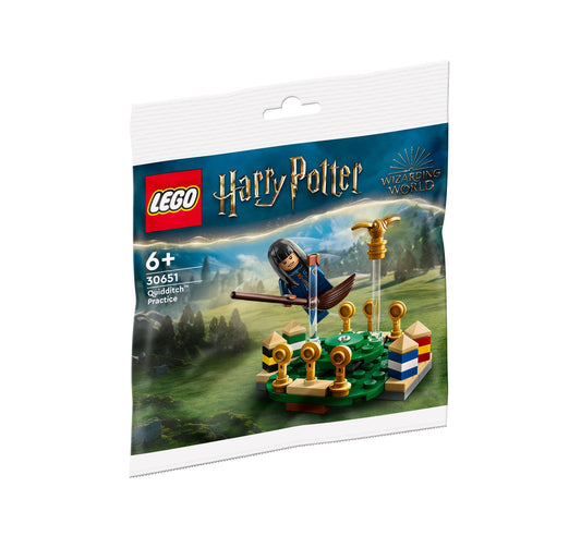 LEGO 30651 Harry Potter - L'entraînement de Quidditch